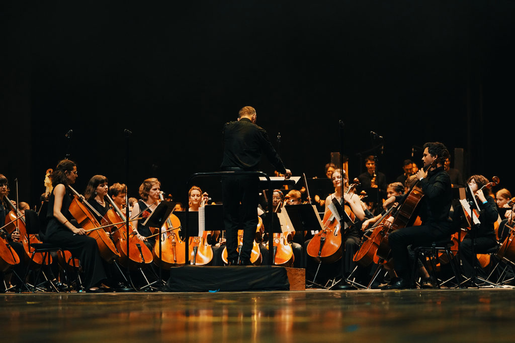 Cpmdt_j3_paysage_1.1262.1-ok Confédération des Écoles Genevoises de Musique, Rythmique Jaques-Dalcroze, Danse, Théâtre
